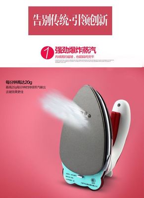 Ervaar een soepel strijken overal met LM-688 Travel Steam Iron 800W Electric