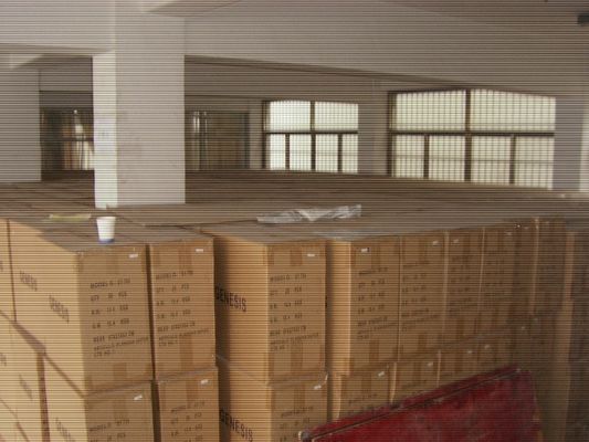 220V stroomvoorziening Elektrisch ijzer met 100 ml watervatcapaciteit