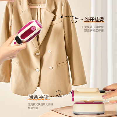 RoHS en CE gecertificeerd LM-2303 Handheld Garment Steamer voor perfect gestoomde kleding